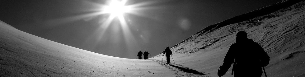 Edelweisstime Viaggi