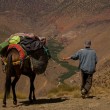 Rodolfo Bonino - Marocco - i 4.000 dell'Alto Atlante - Sci Alpinismo