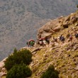 Rodolfo Bonino - Marocco - i 4.000 dell'Alto Atlante - Sci Alpinismo
