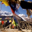 Rodolfo Bonino - Nepal - Annapurna - Trekking