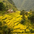 Rodolfo Bonino - Nepal - Annapurna - Trekking