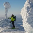 Rodolfo Bonino - Norvegia - Svalbard