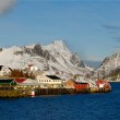 Rodolfo Bonino - Norvegia - Lofoten - Sci Alpinismo / Ciaspole