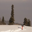 Rodolfo Bonino - India – Kashmir - Gulmarg - Freeride